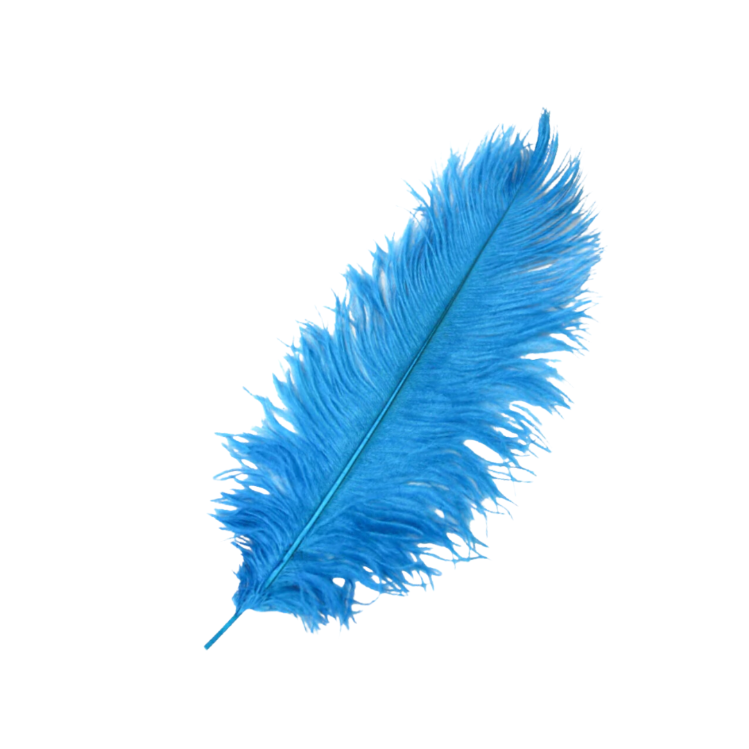Feather - Blue