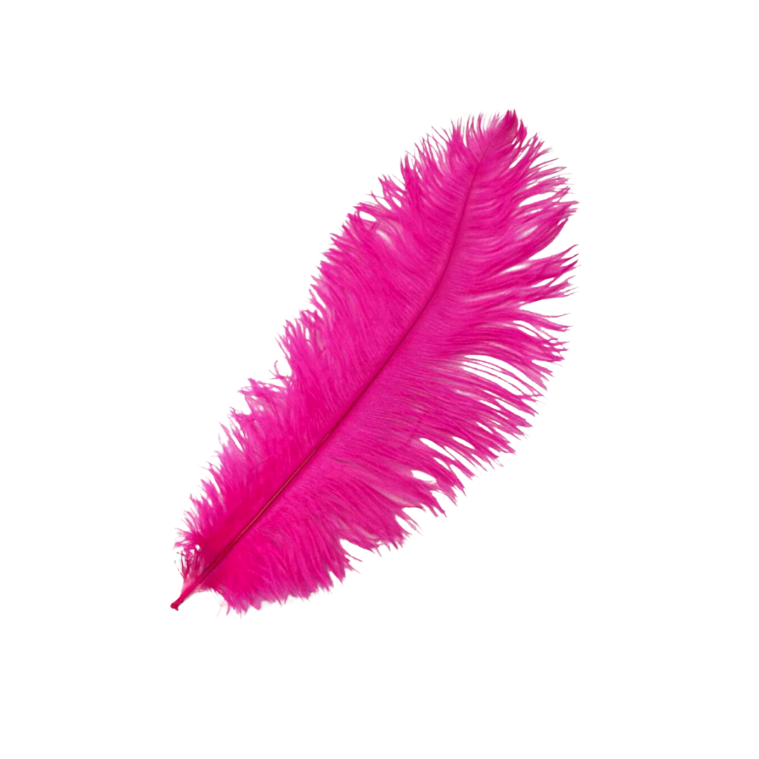 Feather - Pink